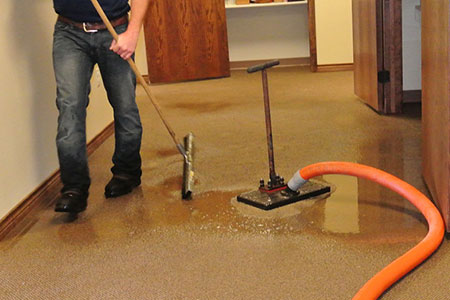 Linked Environmental Concerns from Water Damage