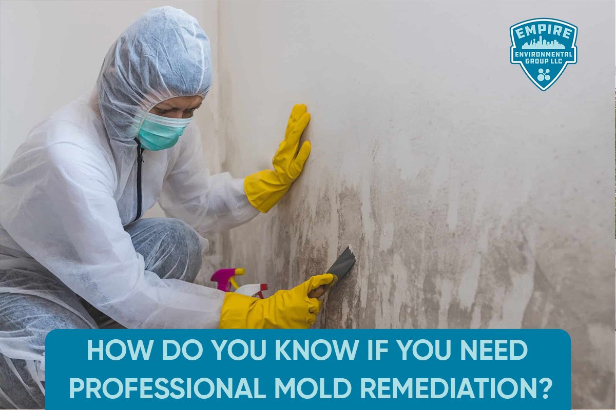 mold remediation