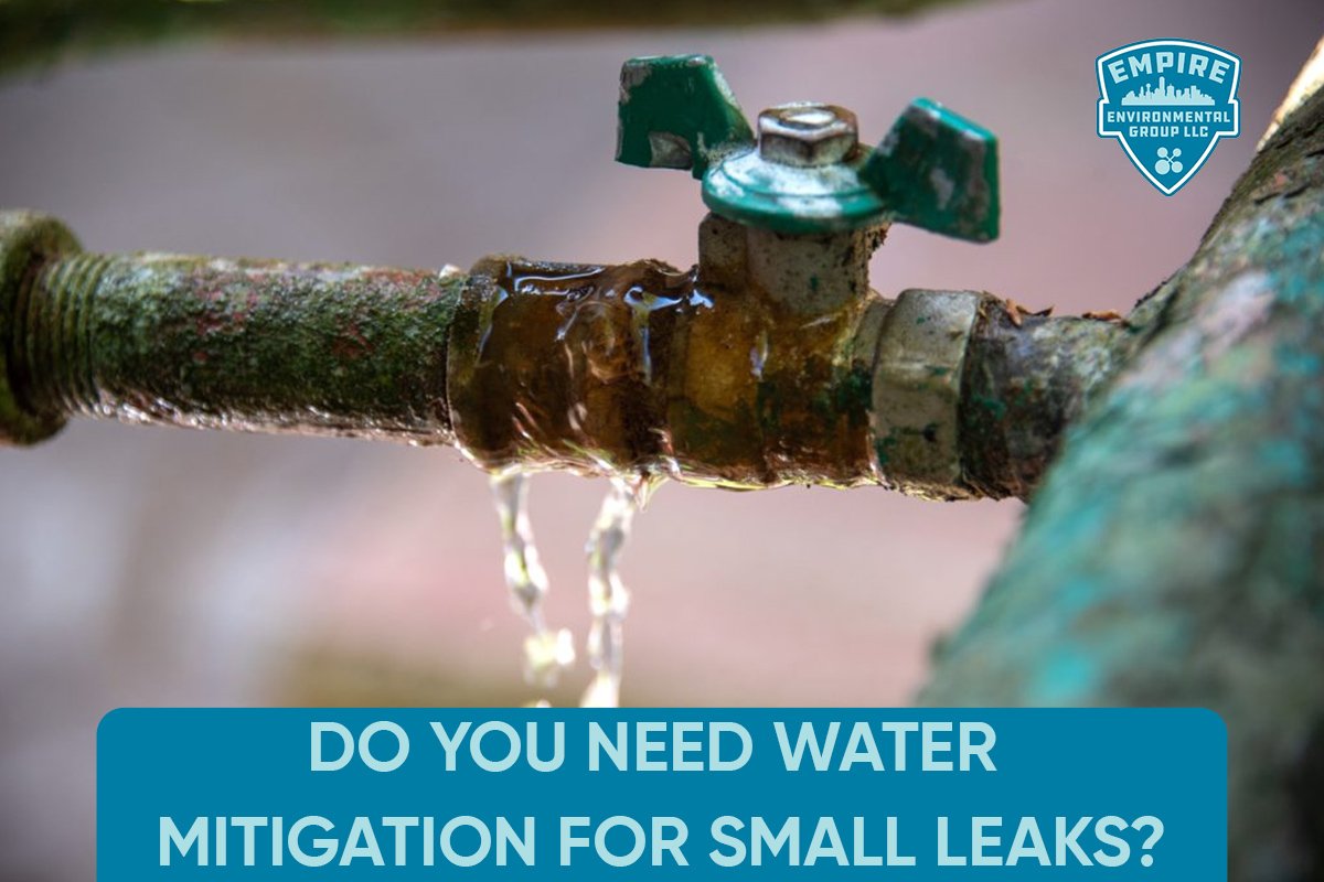 water mitigation